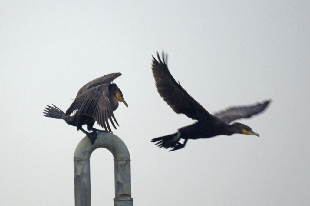 3827tm 陣取合戦4