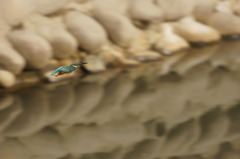 8570撮ってみな!!!