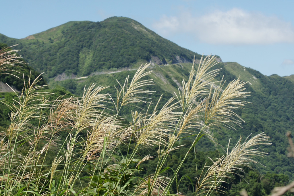 1951 伊吹山ドライブウェー