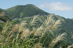 1951 伊吹山ドライブウェー