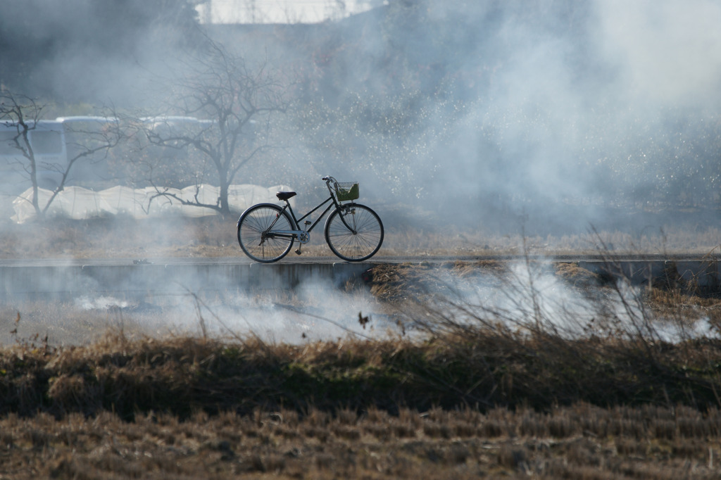 8452 農夫の自転車