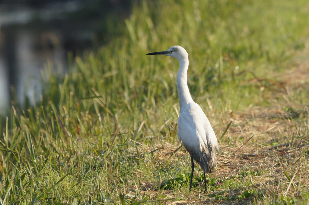 8907t 気になるこの子