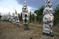 3946 外套を着る苗木