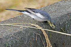 2678tm 何がある？