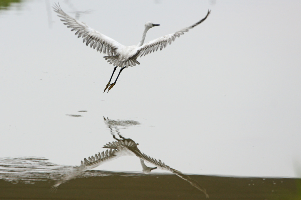 0368tm ○と×と◇と