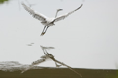 0368tm ○と×と◇と