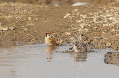 9635t 混浴 オオ恥ずかしぃ!!