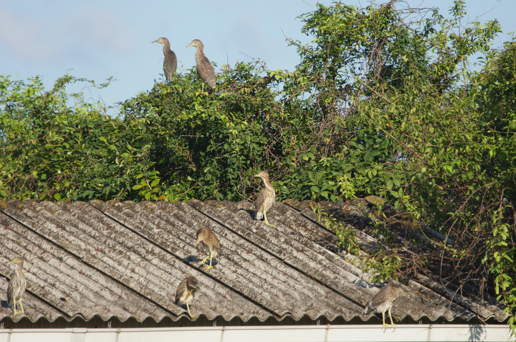 2965m 憩いのひととき
