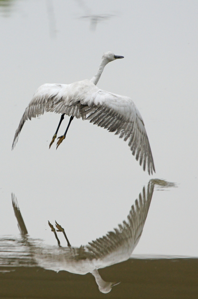 0367tm ○と×と◇と