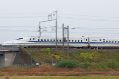 2482tm