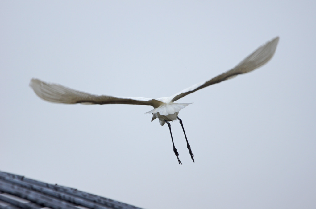 9703m カメラ怖～い