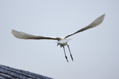 9703m カメラ怖～い