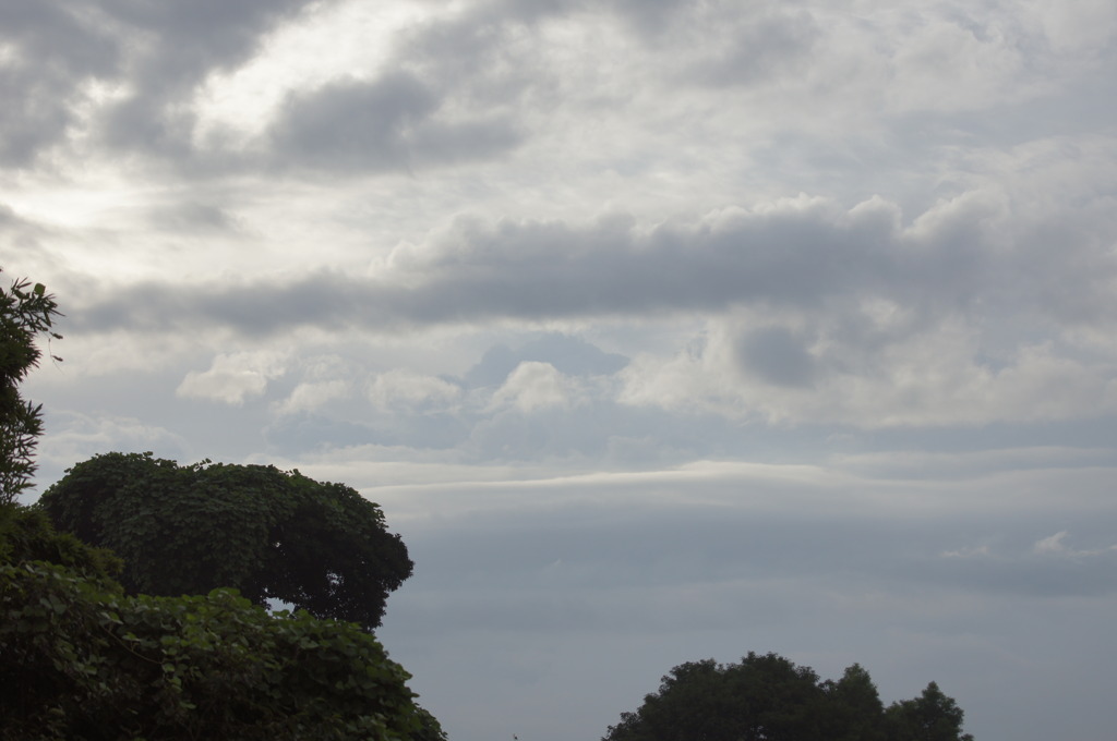 1822 今朝の雲