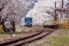 sakura railway