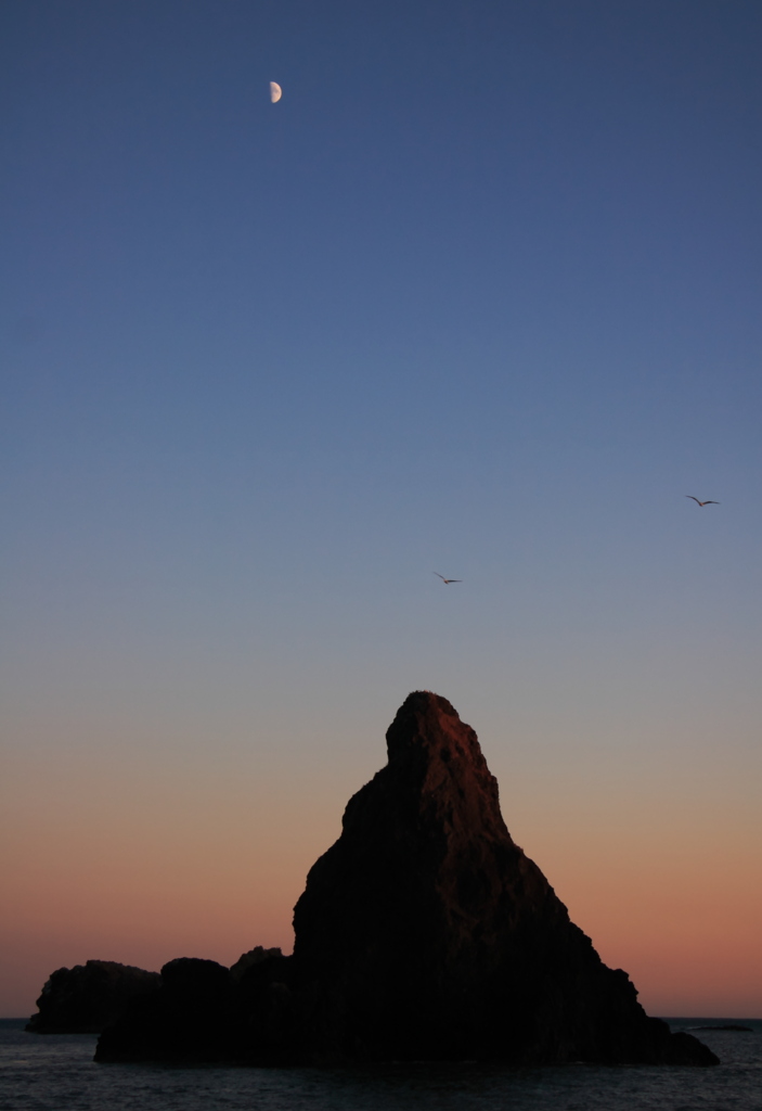 an evening at oregon coast