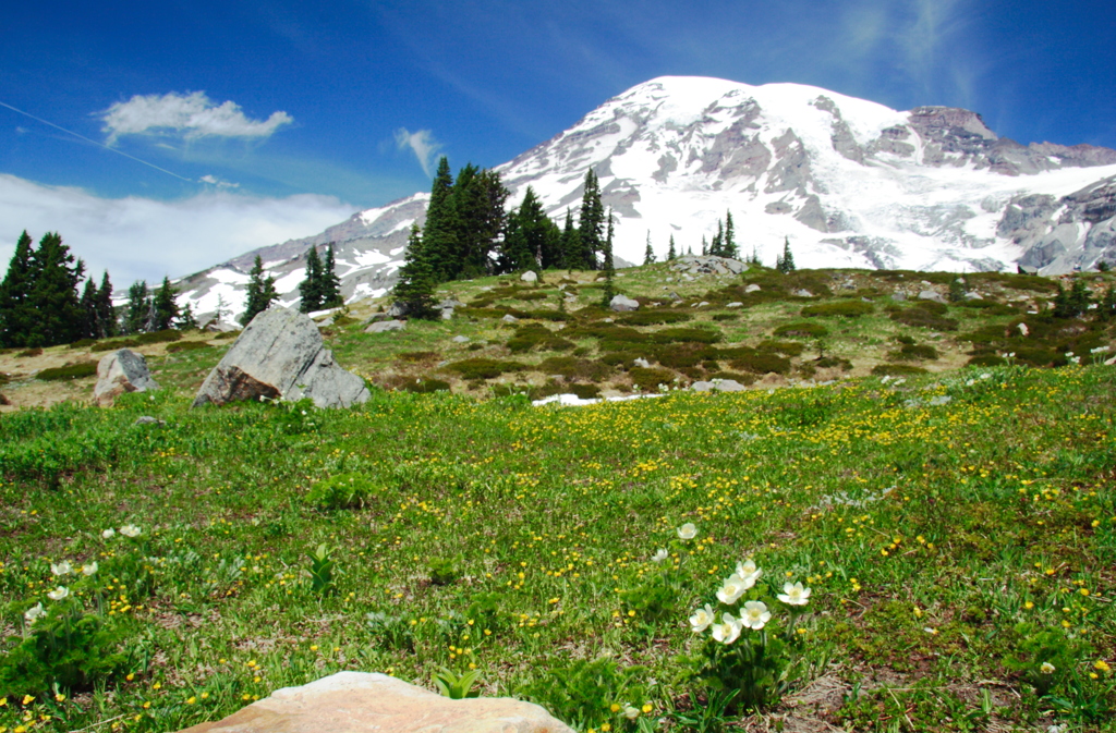 Mt. Rainier: a bit over saturation