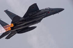 201909_F15