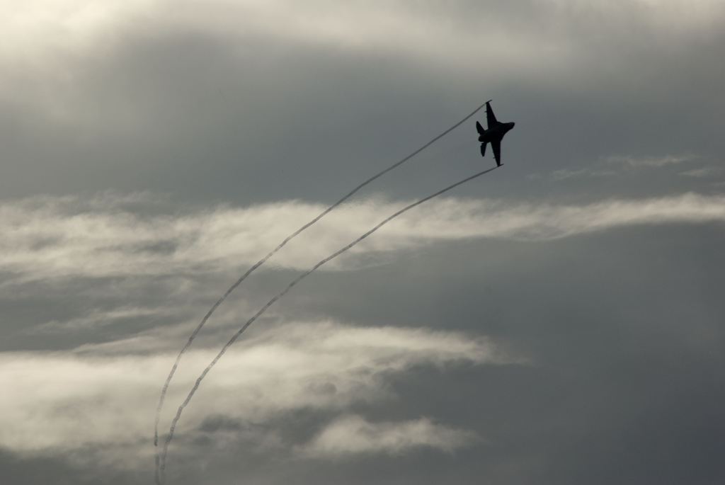 F-2_1