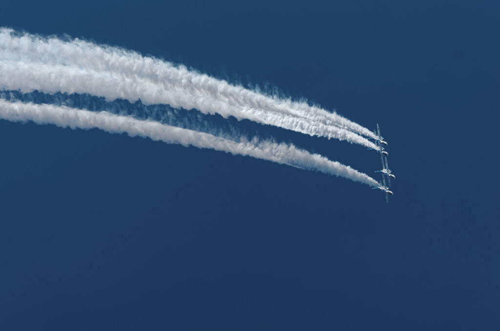 201909_BI (3)
