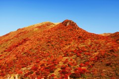 燃える星生山