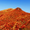 燃える星生山