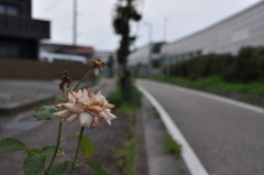 もうお終い
