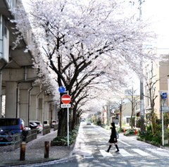 春をあるくひと