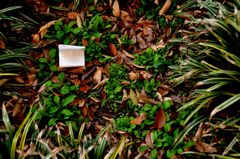 Letter for