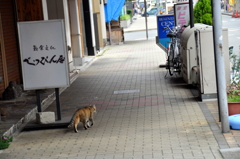 walk work