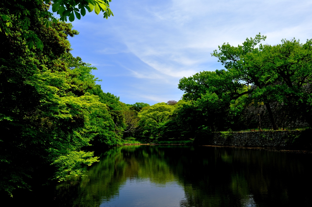 明石公園2014春