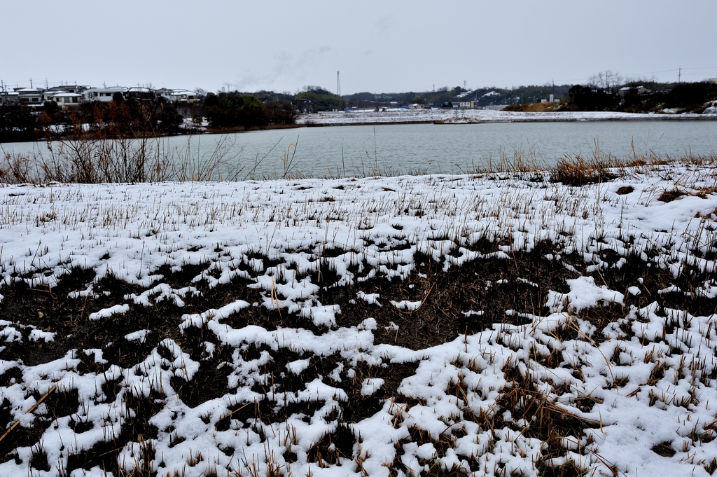 雪景色