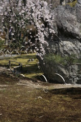 春庭