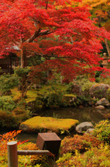 京の姿