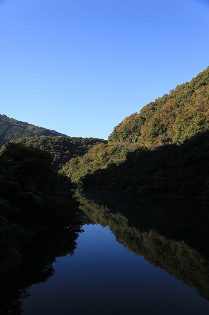 紅葉の朝
