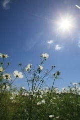 こんな天気イイのに！