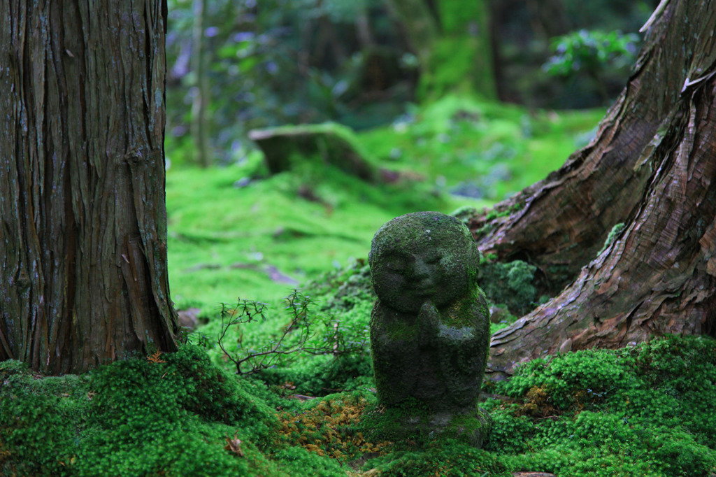 おお～きに