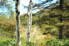 road