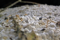 small world