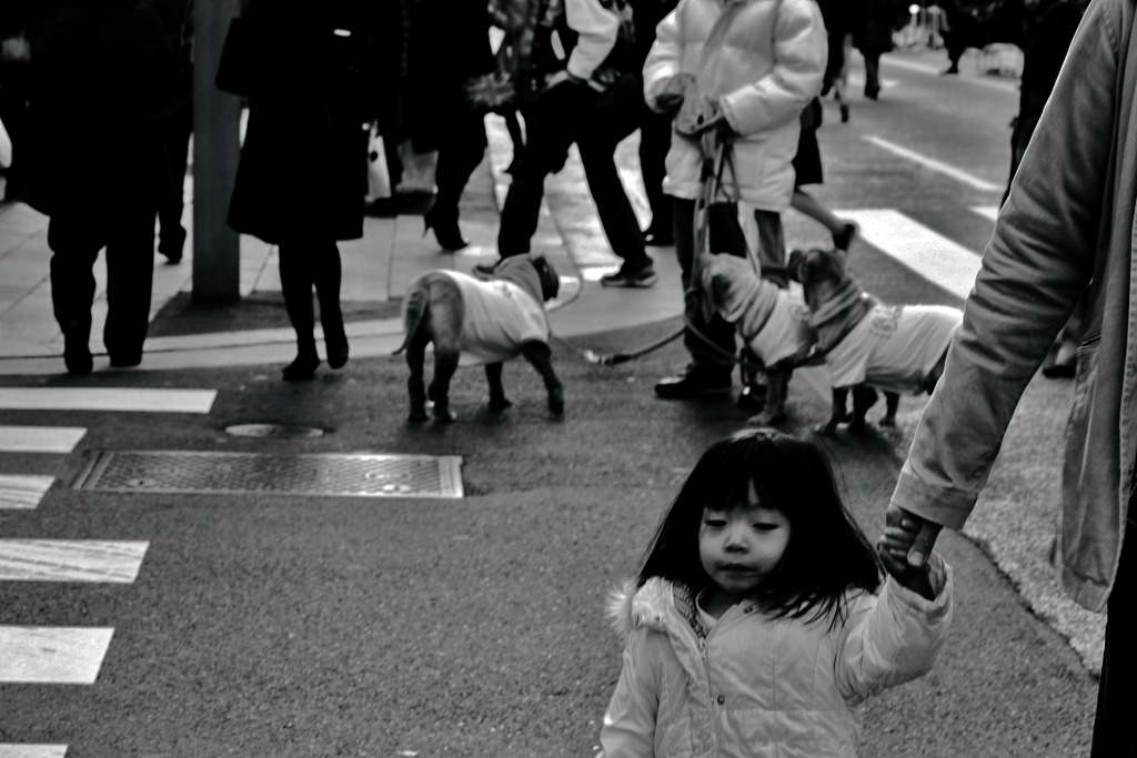 On The Corner