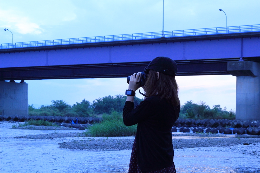Bridge