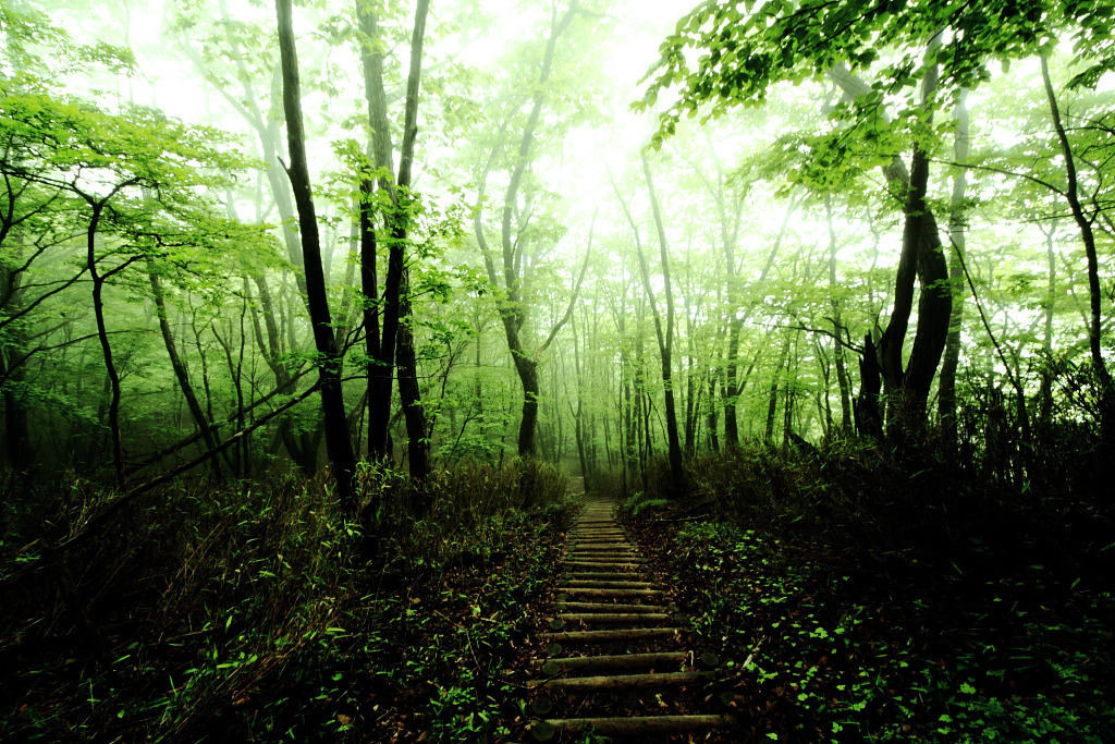 Deep Green