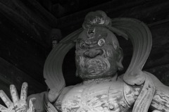 Ganz