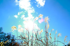 another sky
