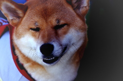 「あぢー」