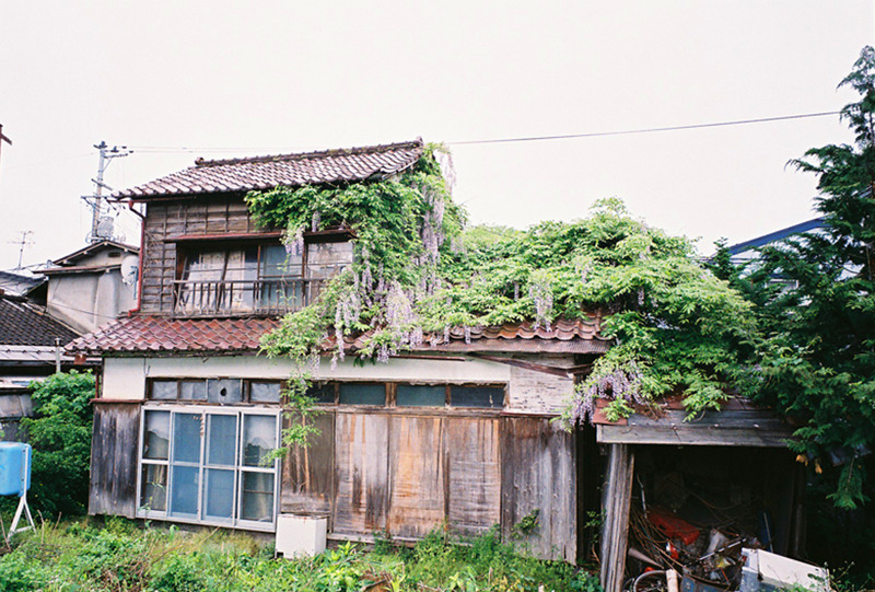 藤の絡まる廃屋