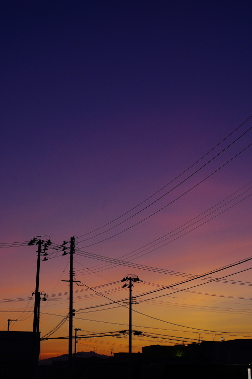 夕焼け＆電柱