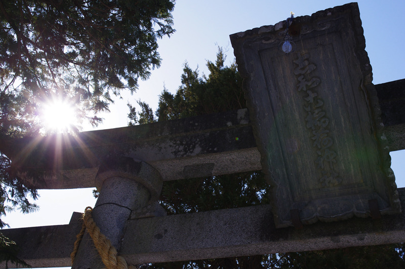 TORII