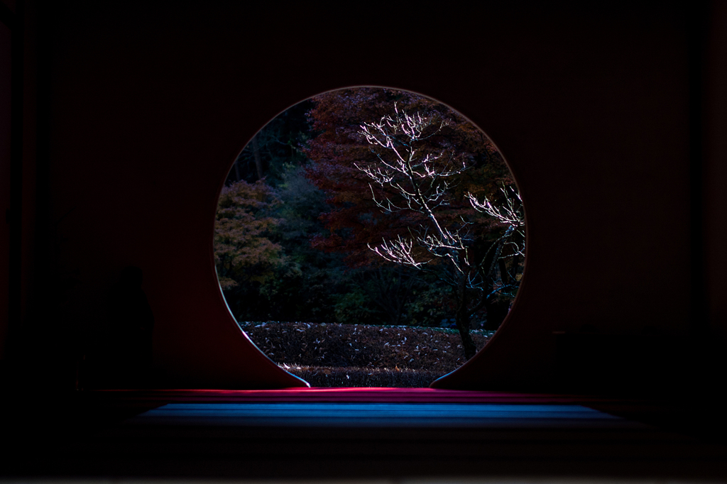 明月院