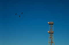 Formation