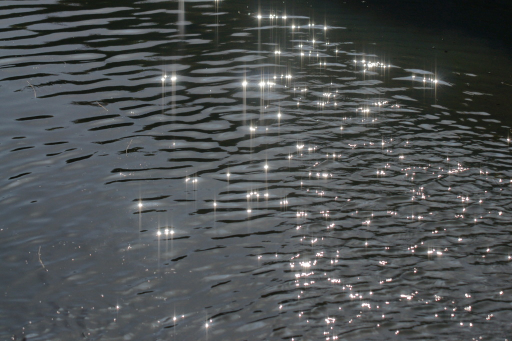 9312 強風の川面